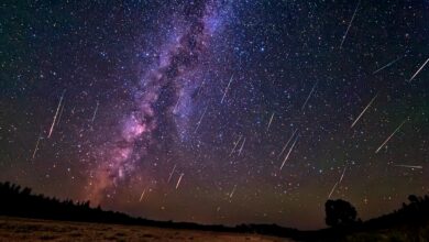 Photo of Mumbaikars, catch the Leonid meteor shower in the sky tonight.