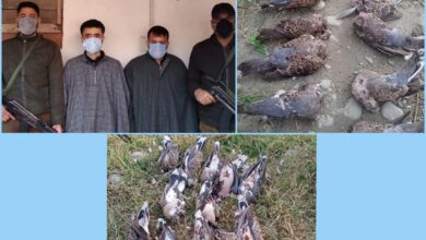 Photo of Ganderbal police arrests 02 persons for poaching migratory birds