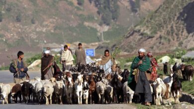 Photo of Tribals to have no rights to sell-out land if their claims get the nod under FRA: Javaid Rahi