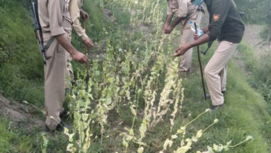 Photo of Raids against drug traders; accused arrested: Reasi Police