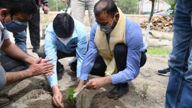 Photo of DC Kargil launches mulberry plantation drive