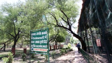 Photo of Centre notifies 1.85 KM area around Ramnagar Wildlife sanctuary as ESZ