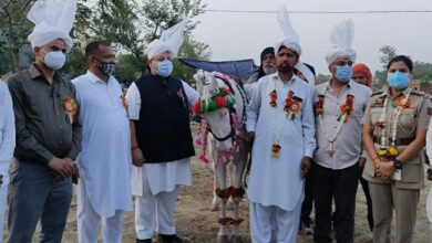 Photo of Rana inaugurates Rural Horse Shows, terms it revival of rural sports