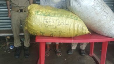 Photo of Drug peddler arrested in Kulgam; Contraband substance recovered