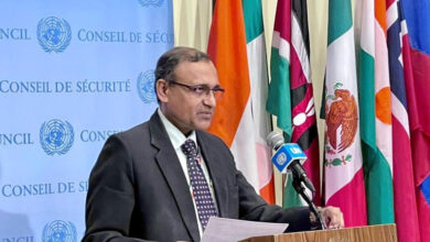 Photo of Militants camps set up in Afghanistan will impact on India: UNSC