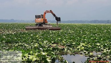 Photo of In past one decade, LAWDA hasn’t procured any new de-weeding machine to clean Dal Lake