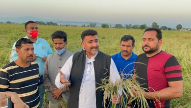 Photo of AJKPC demands 100 percent compensation in favour of affected Basmati growers