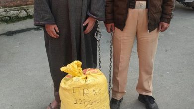 Photo of Police arrests three drug peddlers in Awantipora & Kulgam; Contraband substance recovered