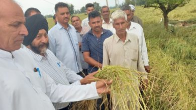Photo of Manjit Singh seeks compensation for farmers whose crop and vegetables damage in hailstorm
