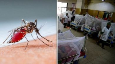 Photo of 1st dengue case detected in Kashmir as 20-yr-old B’pora boy tests positive