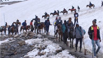 Photo of Maintain highest level of alertness for smooth Amarnath Yatra: DGP to officers