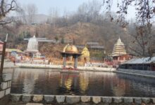 Photo of Mass Mortality of Sacred Fishes at Martand Mattan Sparks Spiritual Anguish