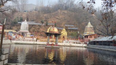 Photo of Mass Mortality of Sacred Fishes at Martand Mattan Sparks Spiritual Anguish